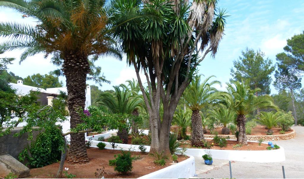 Hacienda Encanto Del Rio Playa DPlaya Des Figueral Dış mekan fotoğraf